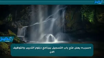 «سرب» يعلن فتح باب التسجيل ببرنامج دبلوم التدريب والتوظيف الآن